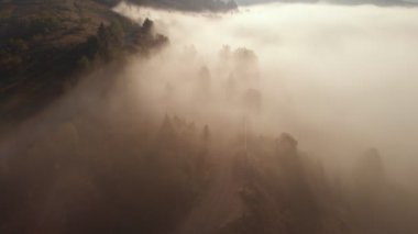 Alçak bulutlar üzerinde hava aracı uçuş manzarası ve güneş doğarken dağ yamaçlarını kaplayan sabah sisi. Dağlarda gün doğumu bulutlar.