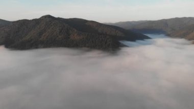 Dağlar arasında bulutların üzerinden uçan hava manzarası. Yoğun sis kaplı tepeler. Gün doğumunun erken saatlerinde dağ ormanının üzerinde yoğun sis yükseliyor. Sisli bulutlar tepelerde uzanıyordu. 