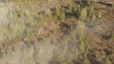 Hava aracı dağlardaki çam ağaçlarının üzerinden uçuyor. Ladin kozalaklı ağaç tepelerinde uçan drone atışı, doğa geçmişi. Yeşil ağaçların üzerinde uçuyor 