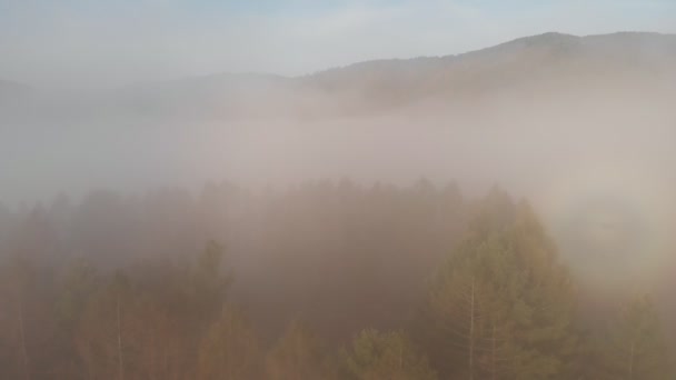 Vista aérea del dron superior sobre las nubes y el cielo en la maravillosa hora del amanecer de la mañana. Volando a través de las nubes sobre las cimas de las montañas. Hermosa cresta de montaña puesta de sol — Vídeos de Stock