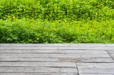 Eski ahşap zemin, sarı kozmos çiçek tarlaları arka plan olarak kullanılıyor.