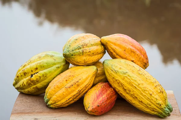 Ein Großer Haufen Bunter Kakaoschoten Criollo Forastero Trinitario Verschiedene Arten — Stockfoto