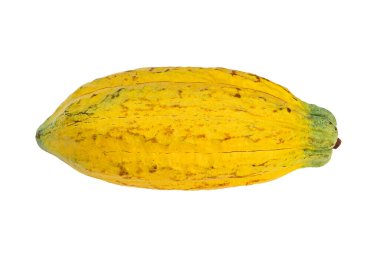 Beyaz arka planda izole edilmiş taze kakao kabukları..