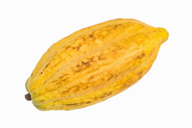 Beyaz arka planda izole edilmiş taze kakao kabukları..