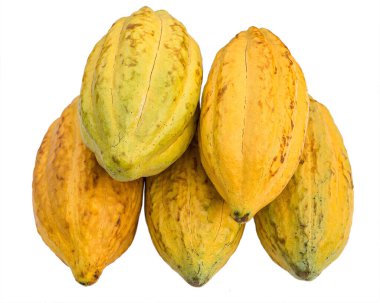 Beyaz arka planda izole edilmiş taze üç kakao kabuğu..