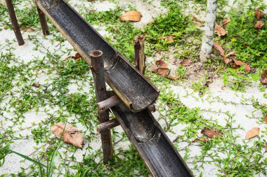 Bambu oluğu kırsal alanda su taşımanın bir yoludur.