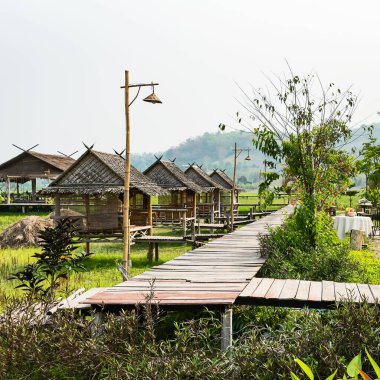 Kırsaldaki pirinç tarlalarını görmek için eski ahşap zemin