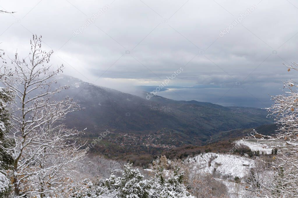 Forest in Pelio covered with snow in the winter time