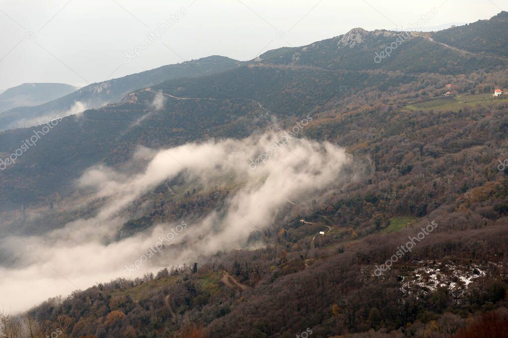 Clouds cover a forest in Pelio in the wintertime
