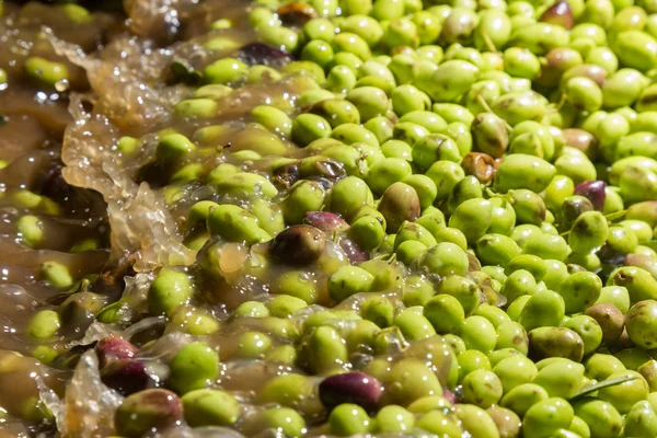 Closeup of olives in a olive oil machine — Stock Photo, Image