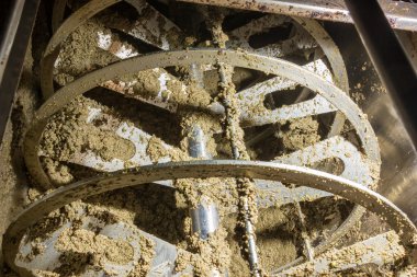 tatlı zeytin zeytinyağı makine 