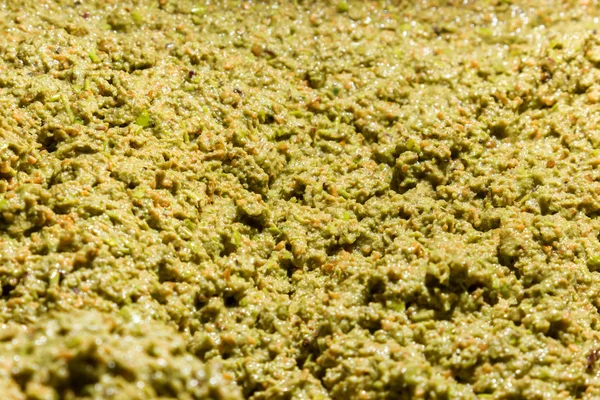 Close-up de azeitonas em uma máquina de azeite — Fotografia de Stock