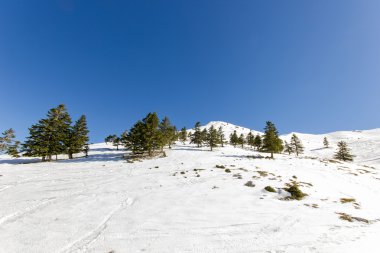 bir dağın tepesinde güneşli bir gün 