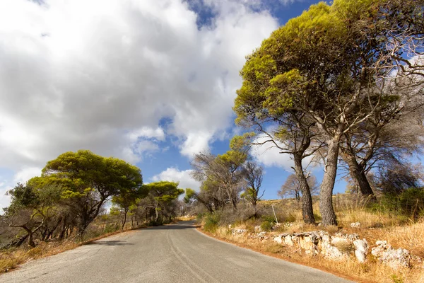 small road in the mountain