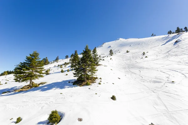 Zonnige dag op de top van een berg — Stockfoto