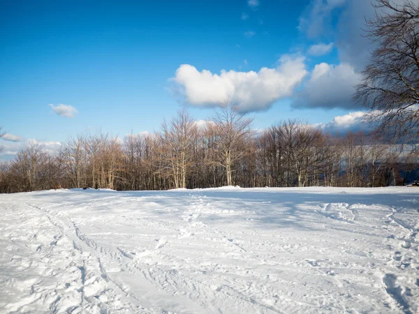 Paysage de montagne avec neige — Photo