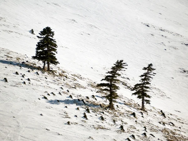 Paysage de montagne avec neige — Photo