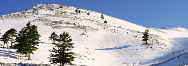 Paysage de montagne avec neige — Photo