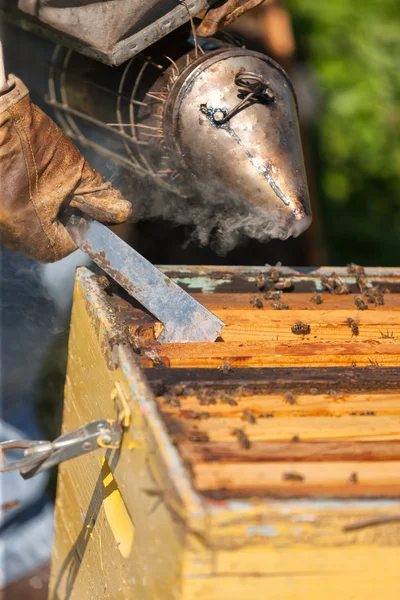 养蜂人在蜂巢上吸烟 — 图库照片