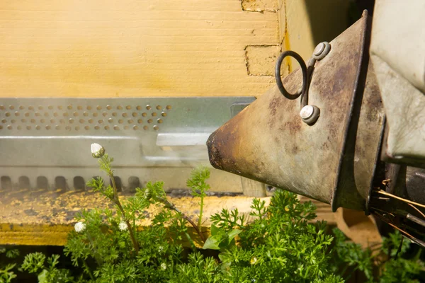 Bee farmer with smoker on a hive — Stock Photo, Image