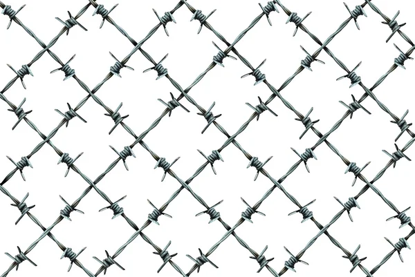 Barbed Wire Fence Pattern — Stock Photo, Image