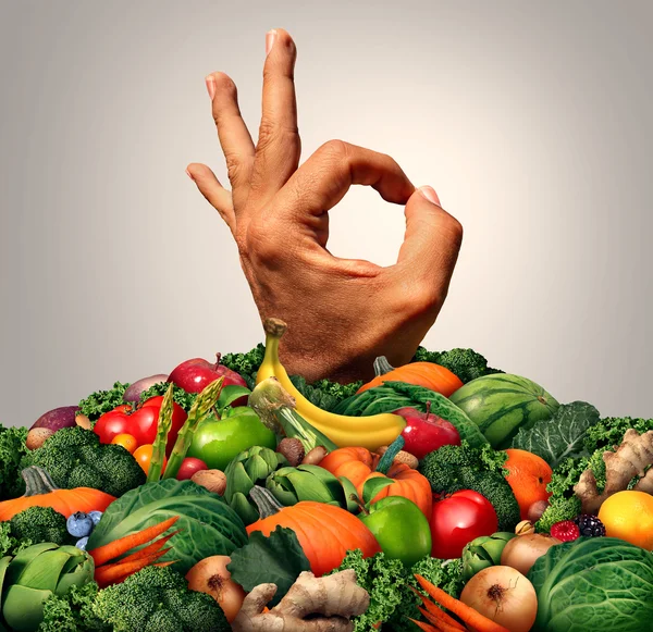 Konsep Makanan Sehat yang lezat — Stok Foto