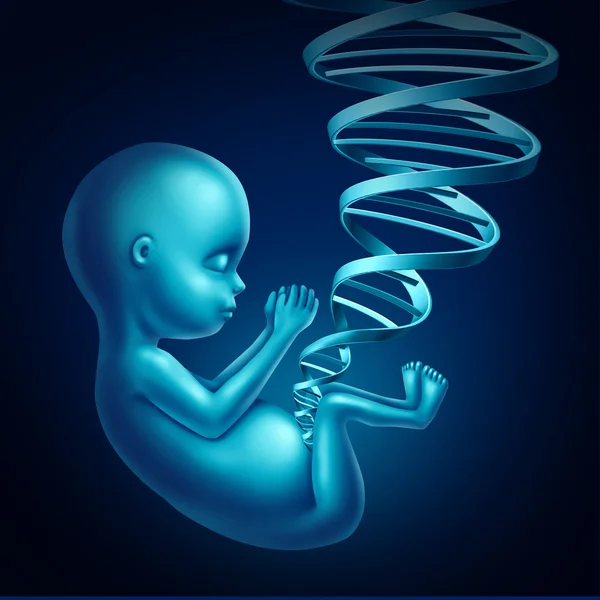 Conceito de DNA do feto — Fotografia de Stock