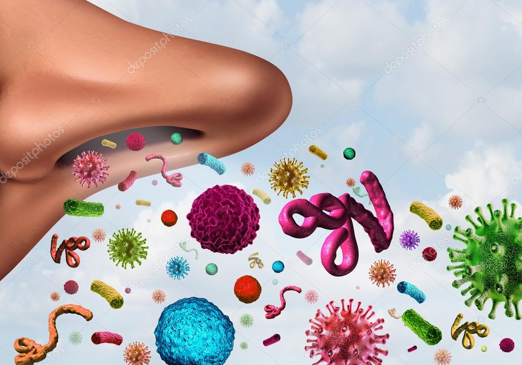 Микрофлора воздуха бактерии. Устранение микроорганизмов. Попадание микробов в воздух. Коронавирус в организме человека. Процесс удаления микроорганизмов.