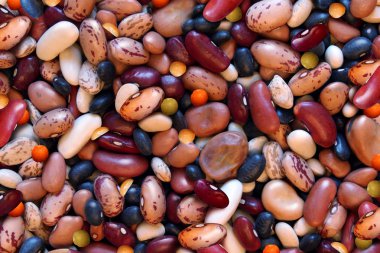 Beans And Lentils Background clipart