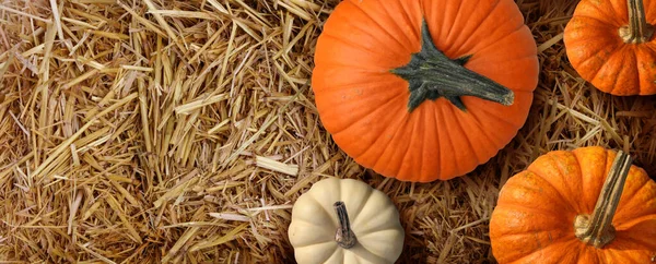 Bale Hay Background Pumpkins Agriculture Farm Farming Symbol Harvest Time — Stock Photo, Image