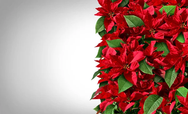 Poinsettia Granicy Projektowania Jako Czerwony Zielony Boże Narodzenie Kwiatowy Element — Zdjęcie stockowe