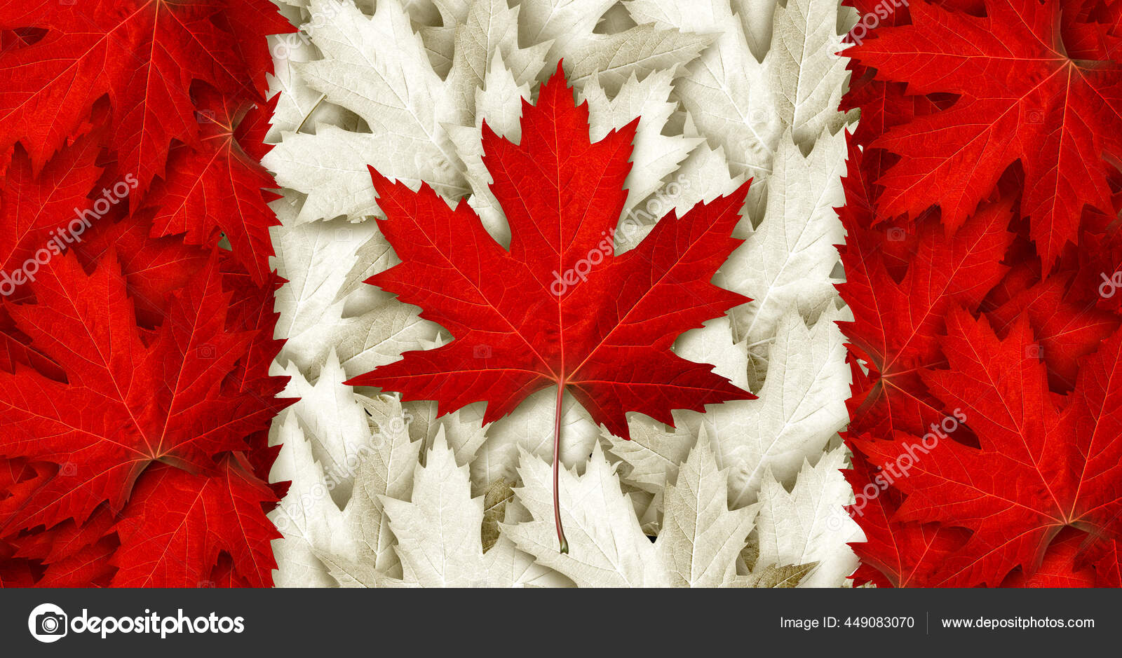 Canada Blad Vlag Gemaakt Met Als Rode Esdoorn Bladeren Voor ⬇ Stockfoto