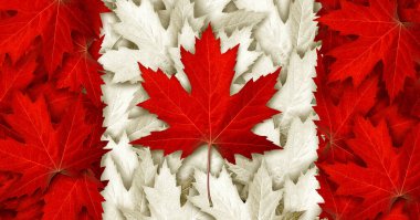 Canada leaf flag made with as red maple leaves for an autumn symbol as a canadian pride seasonal themed concept and as an icon of the fall weather in a 3D illustration style. clipart