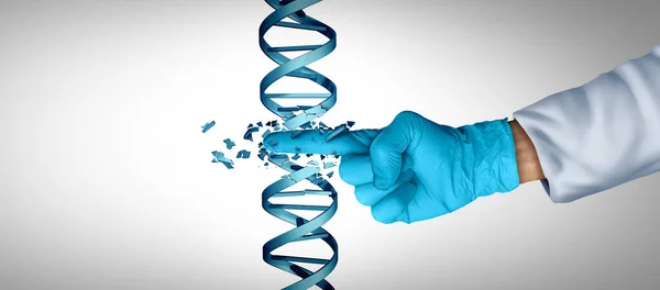 基因工程和Dna或基因治疗作为Crispr生物技术的概念 具有双螺旋链作为基因组或染色体治疗的标志 作为一名具有3D插图元素的科学医生或研究人员 — 图库照片