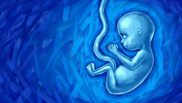 胎儿发育和胎儿概念作为人的胎儿或产前胎儿 脐带作为产科医学符号 用于孕期健康和产前保健 — 图库照片