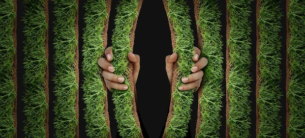 Gartenarbeit Konzept Und Als Sklave Ihres Hofes Aufgaben Wie Rasenmähen — Stockfoto