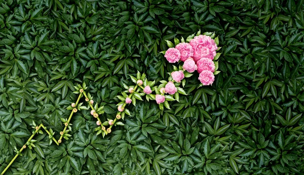 豊かな機会や環境や生態系の問題を表す植物や花で作られた上昇矢印として成長グラフビジネスの概念と財務成長や積極的な利益開発 — ストック写真