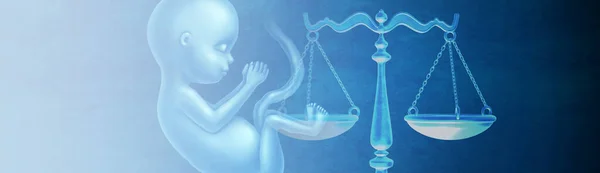 Abtreibungsgesetze Und Fötus Rechte Und Reproduktive Gerechtigkeit Als Rechtsbegriff Für — Stockfoto