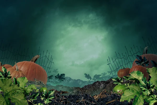 Halloween Autumn Background Creepy Night Background Copy Space Pumpkin Patch — Stock Photo, Image