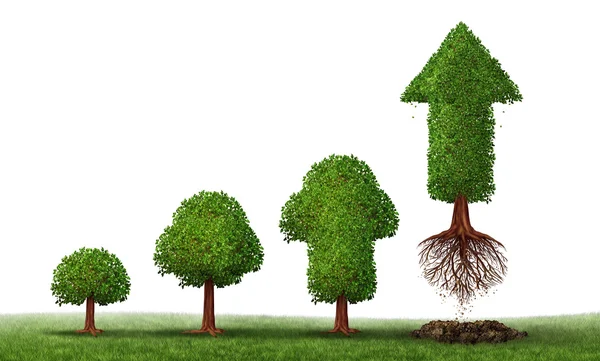 Дерево мультяшное. Дерево с зеленой кроной. Деревьев в целях их. Рост дерева. Вяз ильм карагач.