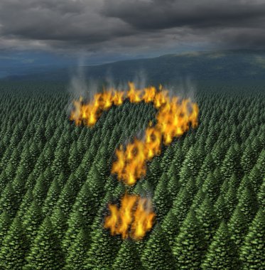 Forest Fire clipart