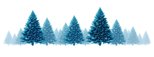 Inverno blu Pino sfondo — Foto Stock