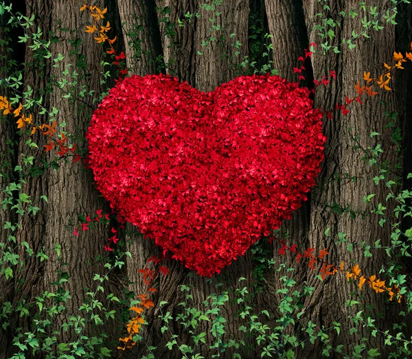 Valentines Day Red Leaves — Stock Photo, Image