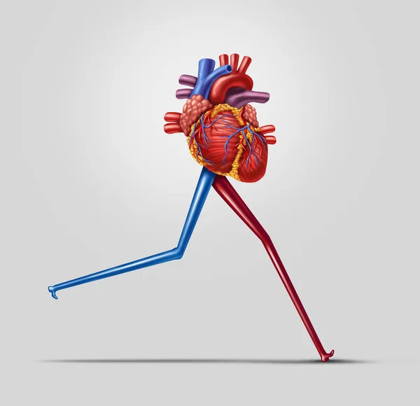 Heart Fitness — Stock Photo, Image