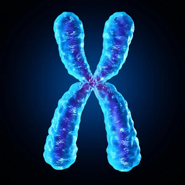 Хромосома — стоковое фото