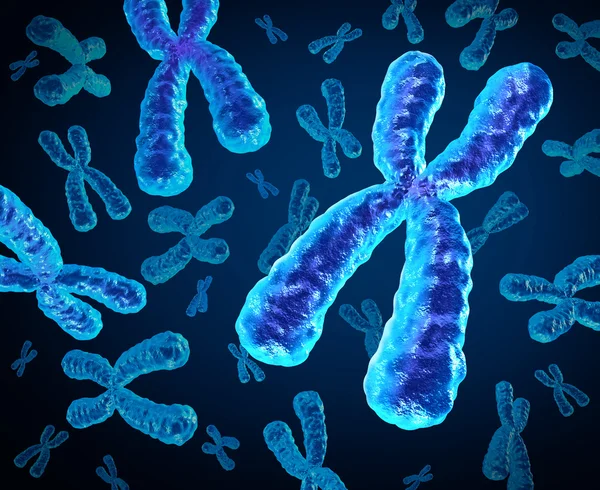 Chromosomen — Stockfoto