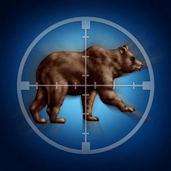 Bear Market Target — Stock Photo, Image