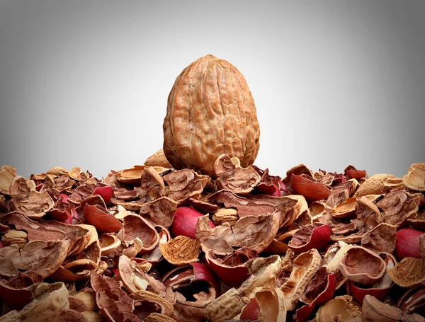 Tough Nut aan barst — Stockfoto