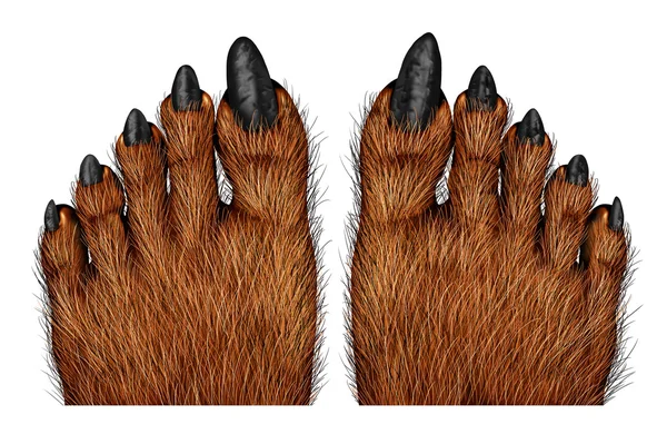 Werewolf Feet — Stock Photo, Image