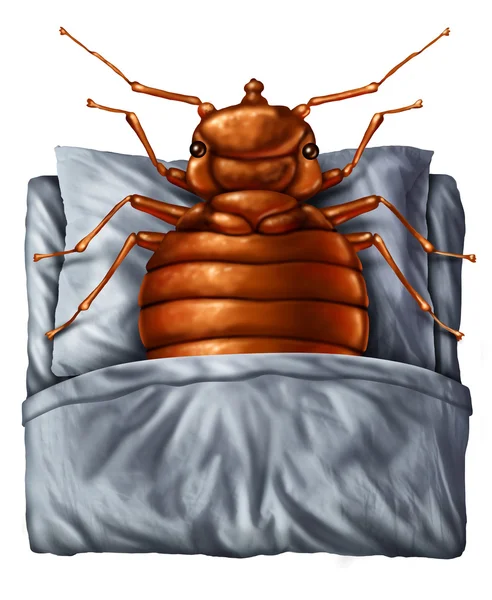Концепція bedbug — стокове фото